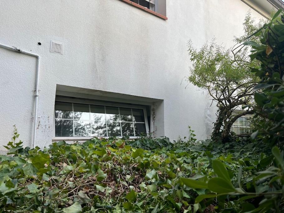 Alojamiento Privado En Casa De Montana Matadepera Buitenkant foto